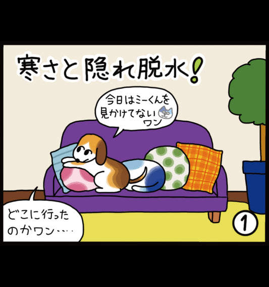 寒さと隠れ脱水！