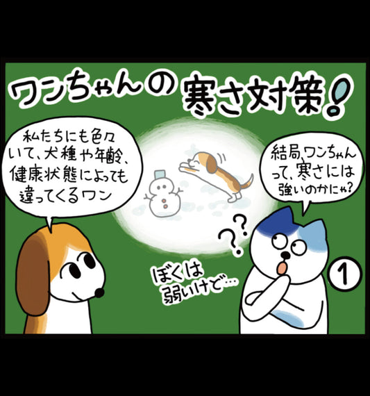 ワンちゃんの寒さ対策！