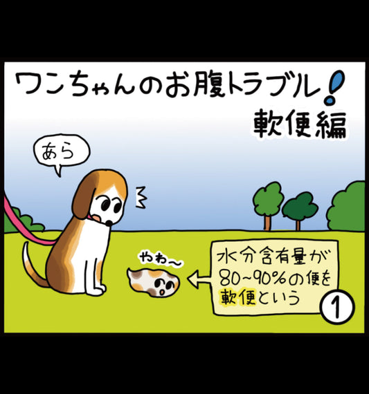 ワンちゃんのお腹トラブル！ 軟便編