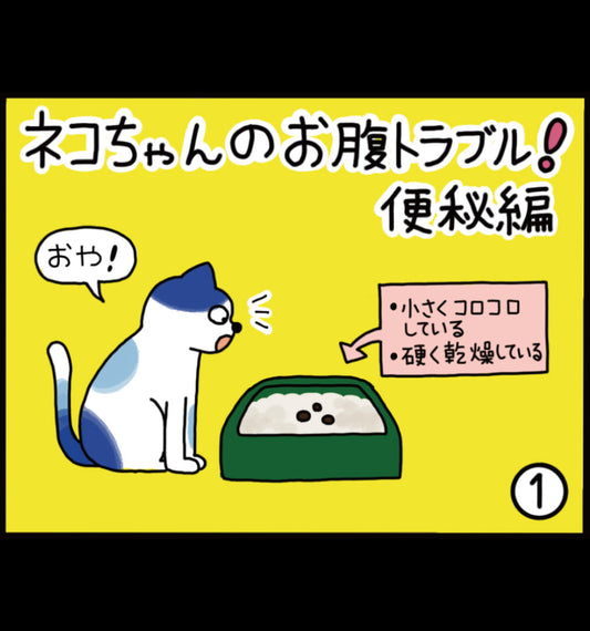 ネコちゃんのお腹トラブル！~便秘編~