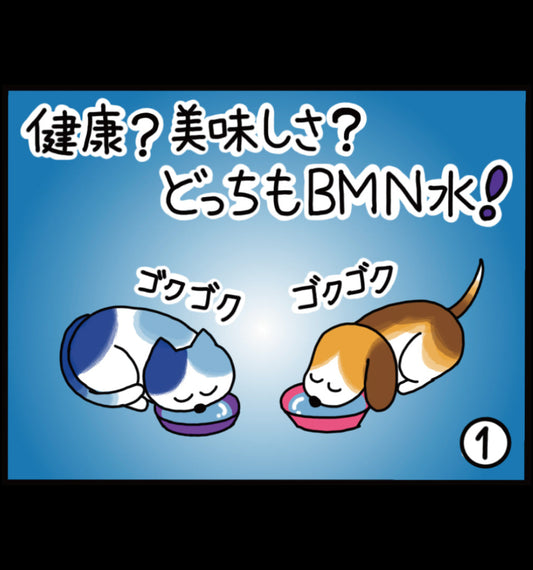 健康？ 美味しさ？ どっちもビーミーニー水！