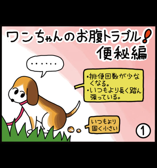 ワンちゃんのお腹トラブル！ 便秘編