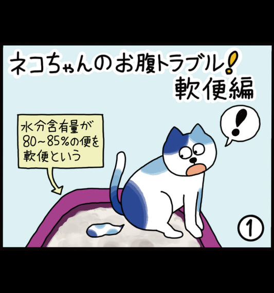 ネコちゃんのお腹トラブル！ 軟便編