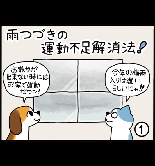 雨つづきの運動不足解消法！