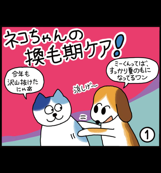 ネコちゃんの換毛期ケア！