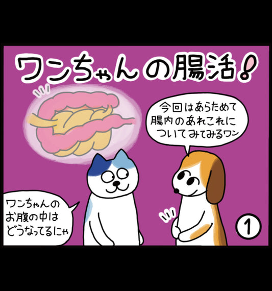 ワンちゃんの腸活！