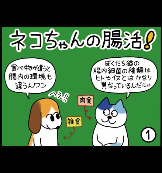 ネコちゃんの腸活！