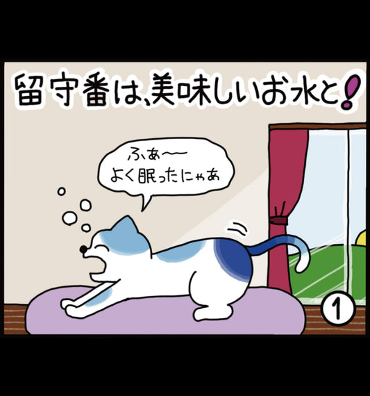 留守番は、美味しいお水と！