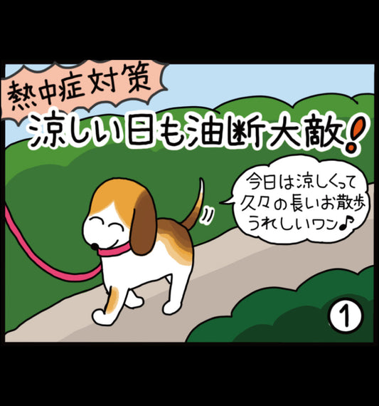 熱中症対策 涼しい日も油断大敵！