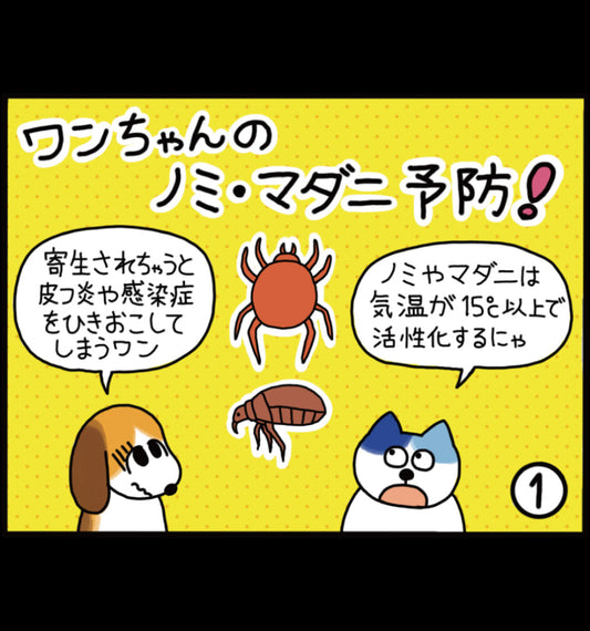 ワンちゃんのノミ・マダニ予防！