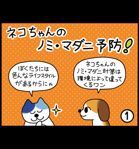 ネコちゃんのノミ・マダニ予防！