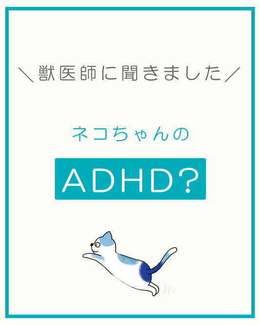 ネコちゃんのADHD？