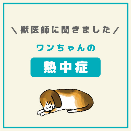ワンちゃんの熱中症