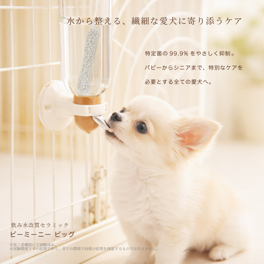 BeeMeeNee ビーミーニー 飲料水改質触媒 ビッグ dog