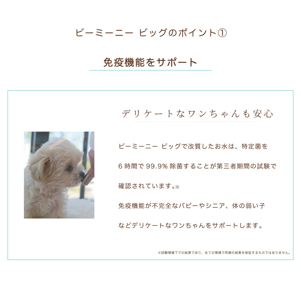 BeeMeeNee ビーミーニー 飲料水改質触媒 ビッグ dog – beemeenee