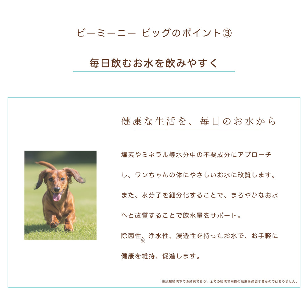 BeeMeeNee ビーミーニー 飲料水改質触媒 ビッグ dog – beemeenee