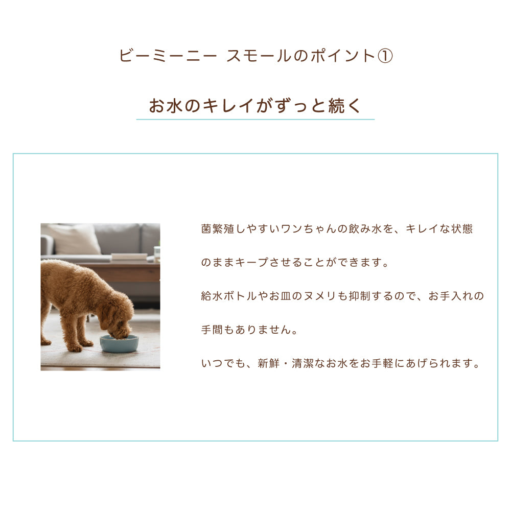 BeeMeeNee ビーミーニー 飲料水改質触媒 スモール dog