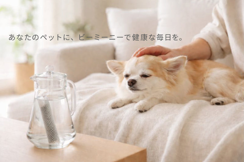 BeeMeeNee公式オンラインストア – beemeenee